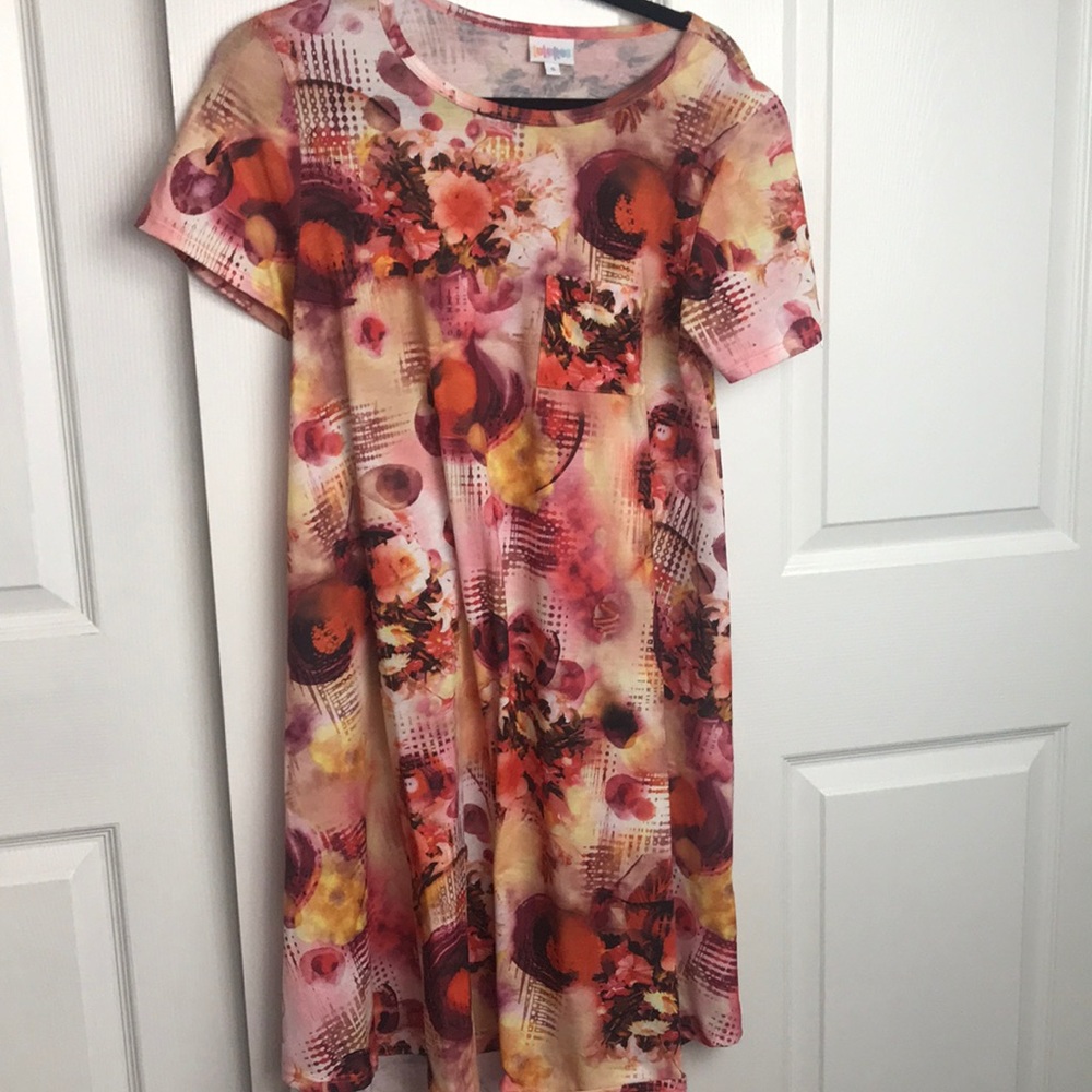Like New worm once Sz small LulaRoe Carly dress